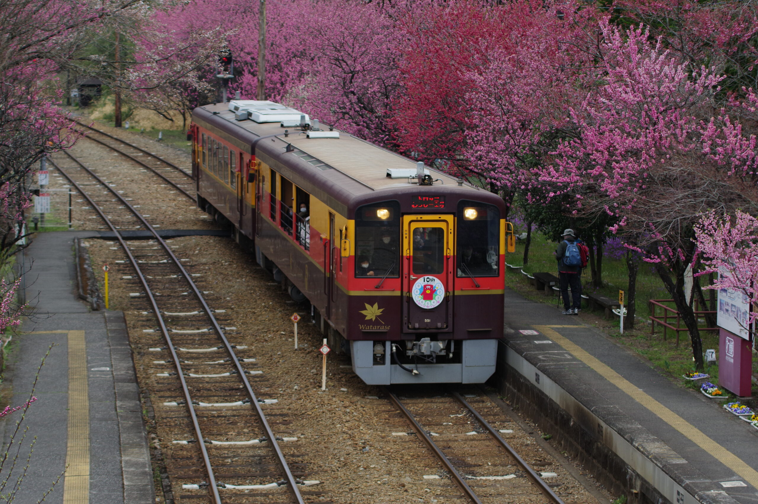 春には神戸駅近くで花桃が咲き、お祭りも行われます。またシーズンには桜も見られます。（１）