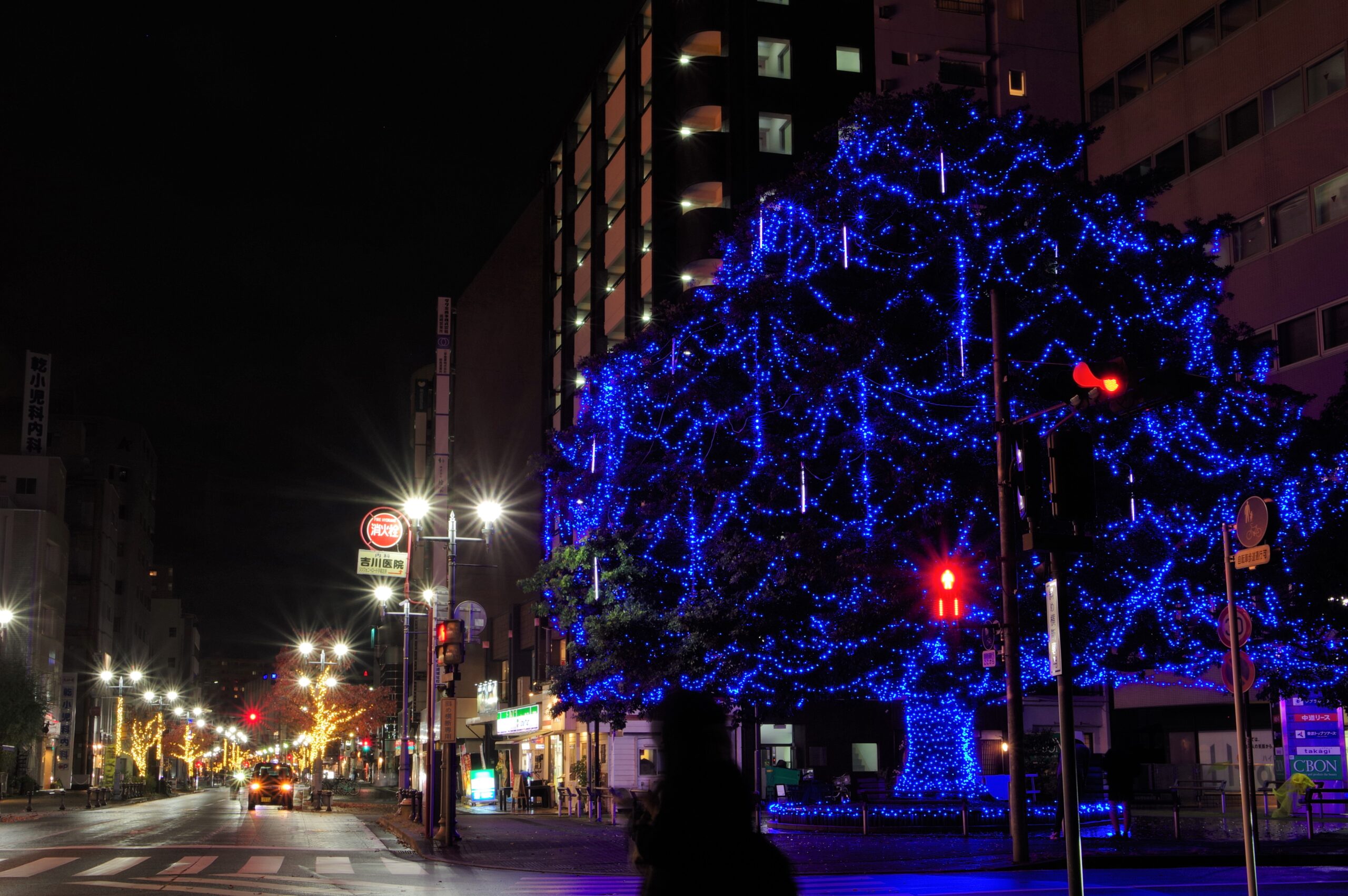 「高崎光のページェント2022」高崎市街地がゴージャスな光に包まれる（２）